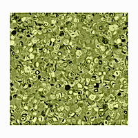 HOMOJEN PVC 1662 GRABO FORTİS KİWİ (GRUP T ) 1,5 MM